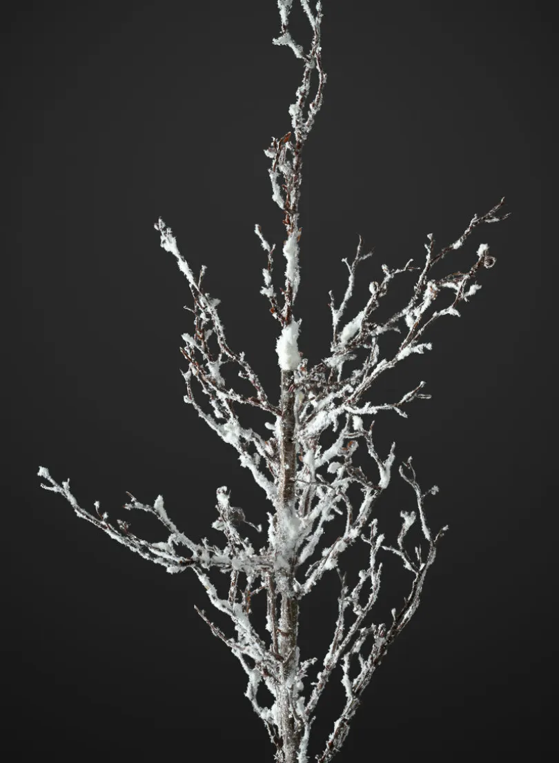 31in Long Winter Twig Branch with Snow, Case of 12