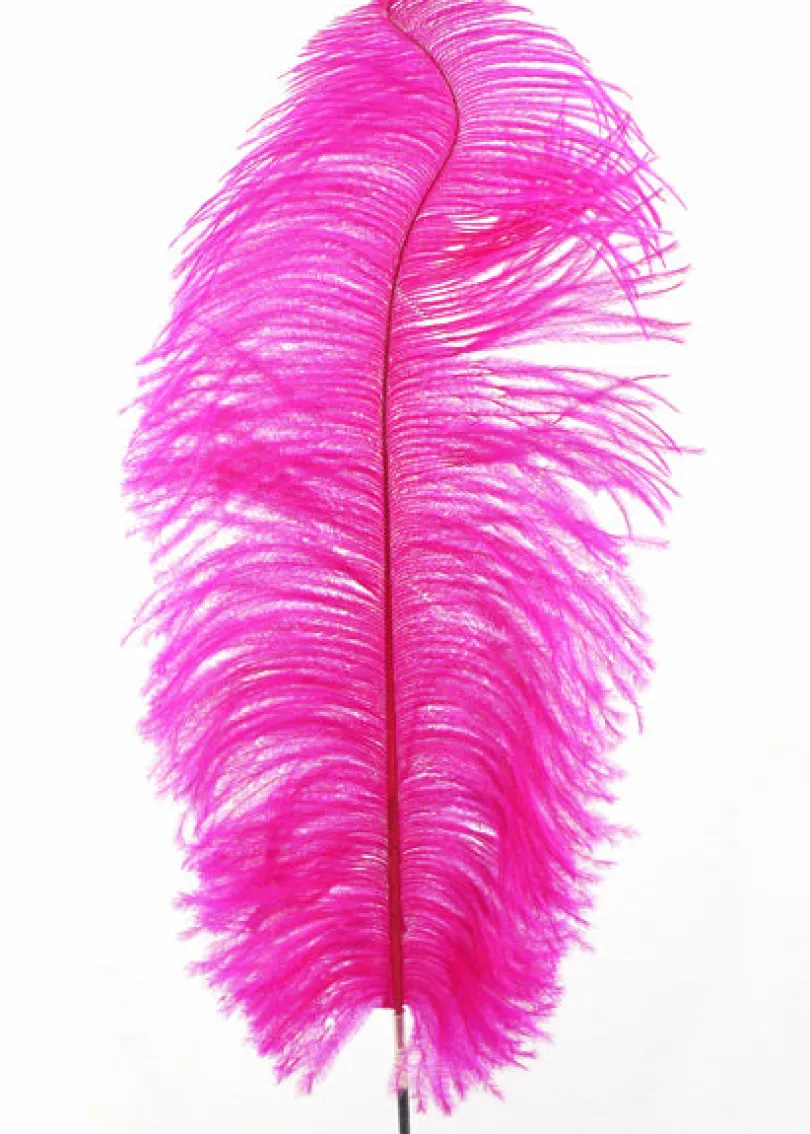 18 - 20in Magenta Ostrich Feather