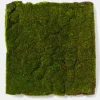 16in Square Flocked Moss Mat