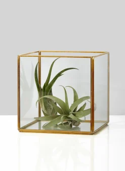 5in Square Gold Lantern