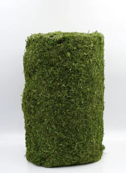 18in Square Moss Mat