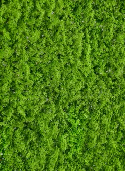 20in Square UV-Resistant Realistic Evergreen Moss Mat (Indoor/Outdoor)