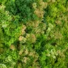 40in Square UV-Resistant Tropical Green Tone Reindeer Moss Mat (Indoor/Outdoor)