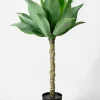 35in Tall Agave Tree