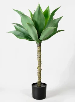 35in Tall Agave Tree