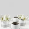 4.25in Tall Akureyri Matte Ceramic Cylinder, Set of 4