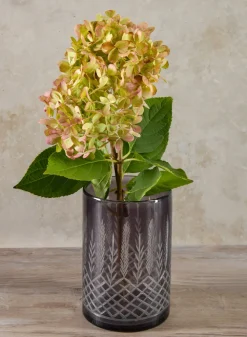 6in Tall Almira Palm Smoke Gray Cut Work Cylinder Glass Vase