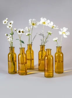 6.5in Tall Amber Glass Bottle Bud Vases, Set of 6