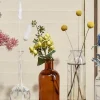 5.25in Tall Amber Medicine Bottle Glass Bud Vase, Set of 6
