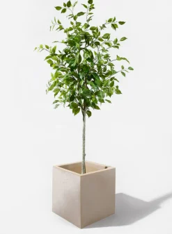 15.5in Tall Antique White Stone Cuadro Planter