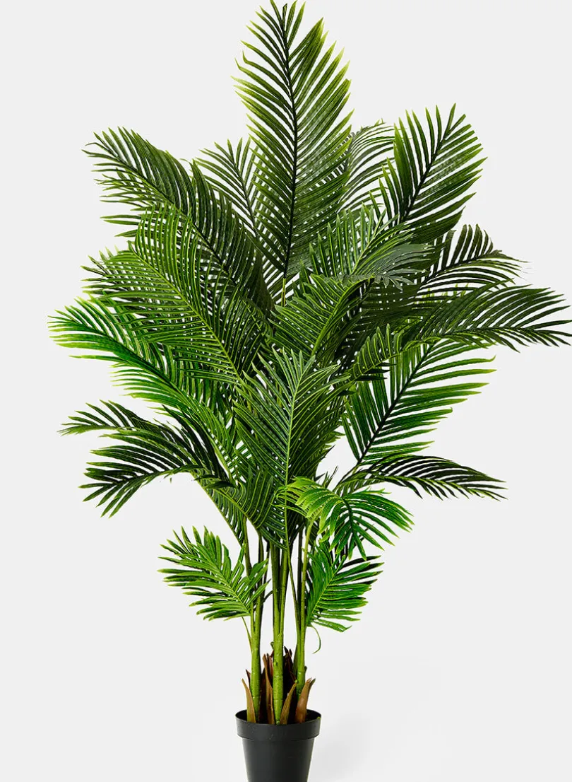 67in Tall Areca Butterfly Palm
