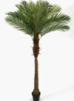 72in Tall Areca Palm Tree