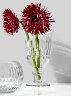 7.25in Tall Arrow Stripe Etched Trumpet Pedestal Glass Vase