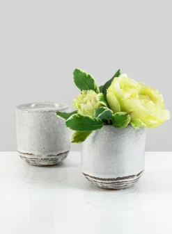 4.75in Tall Artisan Rustic White Pot, Set of 2