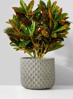 5in Tall Atelier Diamond Cement Cylinder Vase