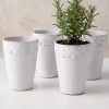 6in Tall Aurelie Rose Border Ceramic Cachepot, Set of 4