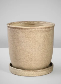 5in Tall Azra Light Brown Ceramic Pot with Saucer