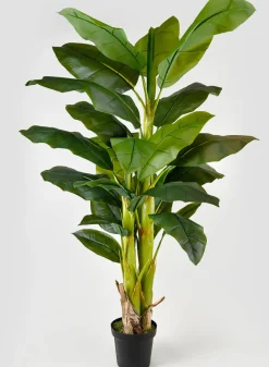 65in Tall Banana Tree