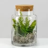 7.25in Tall Barra Glass Jar with Cork