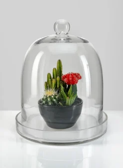 13.5in Tall Batiste Glass Cloche & Base