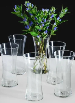 10in Tall Best Value Florist All Purpose Glass Vase, Set of 6