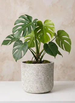 7.5in Tall Boheme Antiqued Ceramic Cachepot, Case of 4