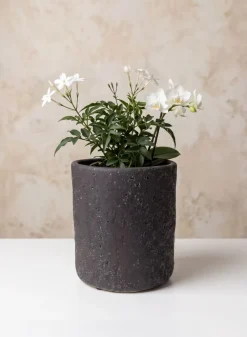 7in Tall Boheme Black Lava Ceramic Cylinder Pot, Case of 6