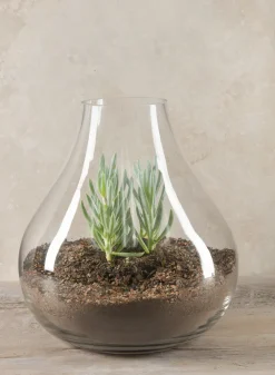 12in Tall Boheme Glass Terrarium Vase