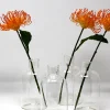 5 3/4in Tall Bottle Glass Bud Vase, Set of 4