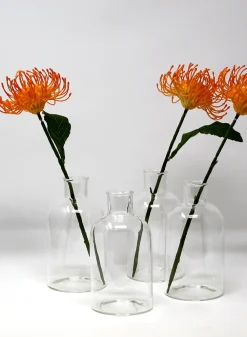 5 3/4in Tall Bottle Glass Bud Vase, Set of 4