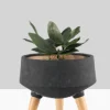 10.25in Tall Breakers Black Ceramic Planter With Beech Wood Legs