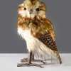 12in Tall Brown Owl