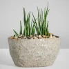4.5in Tall Bursa Oval Taupe Ceramic Cachepot