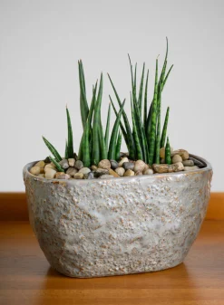 4.5in Tall Bursa Oval Taupe Ceramic Cachepot