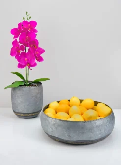 6.25in Tall Byzantine Galv Iron Pot