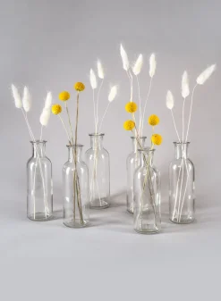 6.5in Tall Clear Glass Bottle Bud Vase, Set of 6
