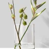 8in Tall Clear Glass Cylinder