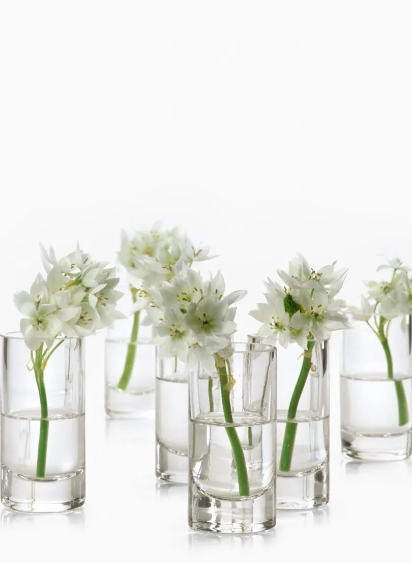 4in Tall Clear Glass Cylinder, Set of 4