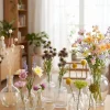 4.5in Tall Clear Glass Square Bottle Bud Vase