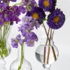 6in Tall Clear Glass Trumpet Bud Vase, Set of 2