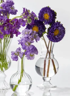 6in Tall Clear Glass Trumpet Bud Vase, Set of 2