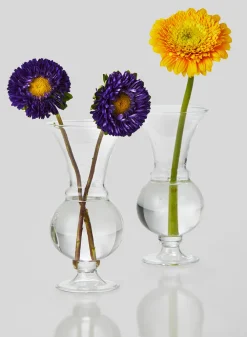 6in Tall Clear Glass Trumpet Bud Vase, Set of 2