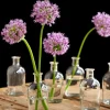 5.25in Tall Clear Medicine Bottle Bud Glass Vase, Set of 6