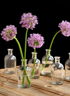 5.25in Tall Clear Medicine Bottle Bud Glass Vase, Set of 6