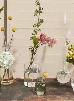 5.25in Tall Clear Medicine Bottle Bud Glass Vase, Set of 6