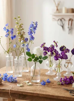 5.25in Tall Clear Medicine Bottle Bud Glass Vase, Set of 6