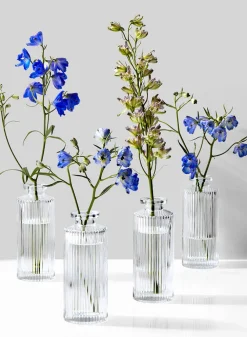 5.25in Tall Clear Pleated Glass Bottle Bud Vase, Set of 4
