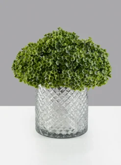 6in Tall Diamond Cut Glass Cylinder