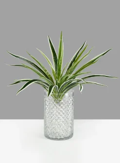 6in Tall Diamond Cut Glass Round Vase