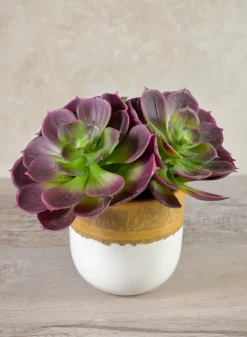 4in Tall Fermier Ceramic Cache Pot, Set of 4